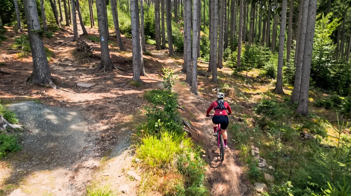 Autorka trasy jedzie odcinkiem leśnym Singletrack Glacensis.