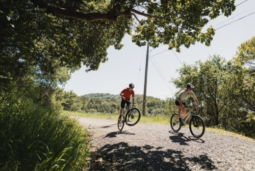Rower MTB MARIN Bolinas Ridge 1 29