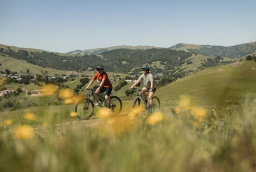 Rower MTB MARIN Bolinas Ridge 2 27.5