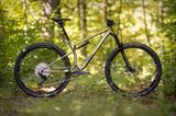 Jaki MTB wybrać? Ranking rowerów polecanych do konkretnych kwot
