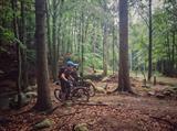 Pasmo Rowerowe Olbrzymy – single track u podnóża Karkonoszy