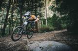 Rower downhill – jak wybrać odpowiedni model dla początkujących?