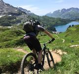 Shimano Alivio czy Deore - którą grupę wybrać?