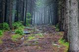 Trasa rowerowa maratonu Ultra Sudety Gravel Race