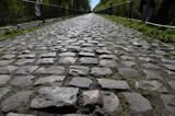 Wyścig Paryż-Roubaix – najważniejszy z kolarskich monumentów?