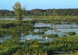 Z Opola nad Jeziora Turawskie