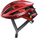 czerwony