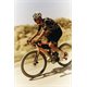 Kask rowerowy ABUS Taipan