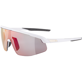 Okulary fotochromowe ALPINA Turbo PRO QV