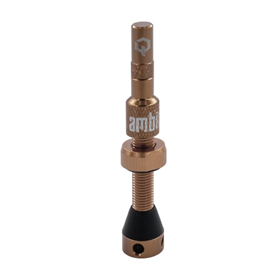 Wentyl AMBIT Tubeless Valves Realm
