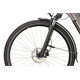 Rower elektryczny BATAVUS Altura E-Go Power Plus