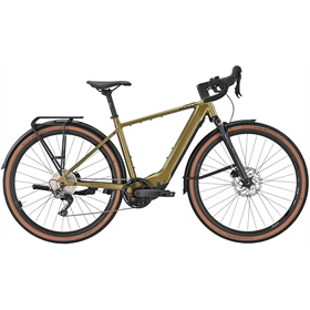 Rower elektryczny BULLS Daily Grinder Evo SX