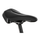 Rower elektryczny BULLS Iconic Evo 2 29