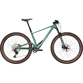 Rower MTB BULLS Wild Edge Trail