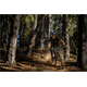 Kierownica MTB BURGTEC Ride Wide Alloy Enduro