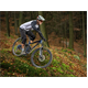 Szorty rowerowe MTB DARTMOOR Blackwoods