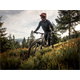 Rama MTB DARTMOOR Rocbird 29