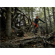 Rama MTB DARTMOOR Rocbird Mullet
