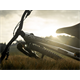 Rama MTB DARTMOOR Rocbird Mullet