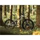Rama MTB DARTMOOR Rocbird Mullet
