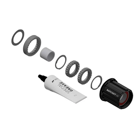 Zestaw serwisowy DT SWISS Ratchet LN MTB Shimano 10/11