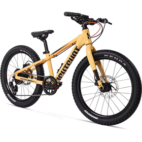 Rower dziecięcy EIGHTSHOT X-COADY 20 SL Disc
