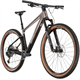 Rower MTB FOCUS Raven 8.9