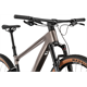 Rower MTB FOCUS Raven 8.9
