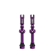 fioletowy
