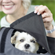 Osłona KLICKFIX Doggy