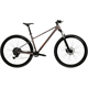 Rower MTB KROSS Level X100