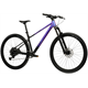 Rower MTB KROSS Level X300