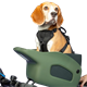 zielony