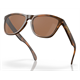 Okulary rowerowe OAKLEY Frogskins PRIZM Tungsten