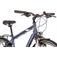 Rower trekkingowy PEGASUS Piazza