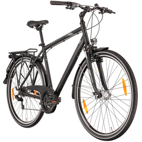 Rower trekkingowy PEGASUS Piazza