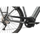 Rower elektryczny PEGASUS Premio Evo 10
