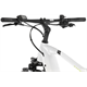 Rower elektryczny RAYMON CrossRay E 5.0 9S M350