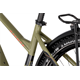 Rower elektryczny RAYMON CrossRay E 5.0 9S M350