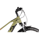 Rower elektryczny RAYMON CrossRay E 5.0 9S M350