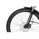 Rower elektryczny RAYMON CrossRay E 5.0 9S M350