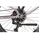 Rower elektryczny RAYMON CrossRay E 6.0 9S M350