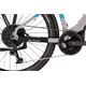Rower elektryczny RAYMON CrossRay E 6.0 9S M350