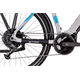 Rower elektryczny RAYMON CrossRay E 6.0 9S M350