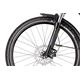 Rower elektryczny RAYMON CrossRay E 6.0 9S M350