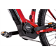 Rower elektryczny RAYMON HardRay E 4.0 29