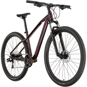 Rower MTB RAYMON HardRay Nine 2.0