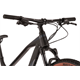 Rower MTB RAYMON HardRay Nine 6.0