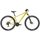 Rower MTB RAYMON Nayta