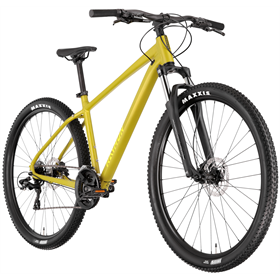 Rower MTB RAYMON Nayta